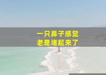 一只鼻子感觉老是堵起来了