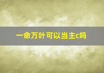 一命万叶可以当主c吗