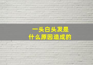 一头白头发是什么原因造成的