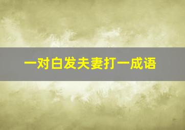 一对白发夫妻打一成语