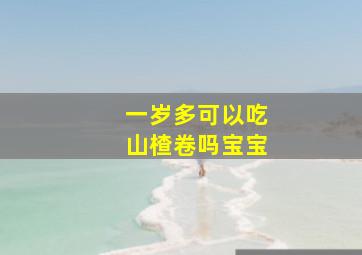 一岁多可以吃山楂卷吗宝宝