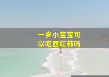 一岁小宝宝可以吃西红柿吗