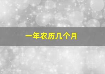 一年农历几个月