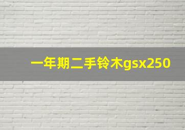 一年期二手铃木gsx250