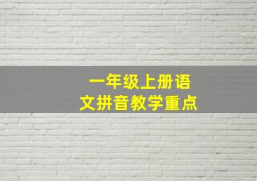 一年级上册语文拼音教学重点