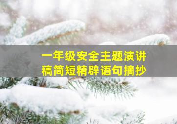 一年级安全主题演讲稿简短精辟语句摘抄