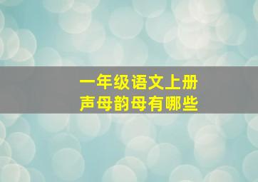 一年级语文上册声母韵母有哪些