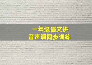 一年级语文拼音声调同步训练