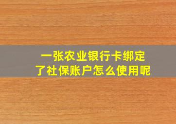 一张农业银行卡绑定了社保账户怎么使用呢