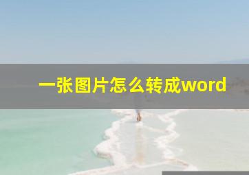 一张图片怎么转成word