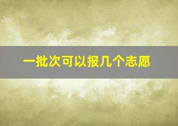 一批次可以报几个志愿