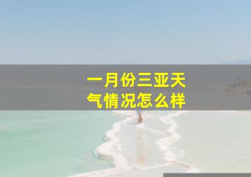 一月份三亚天气情况怎么样