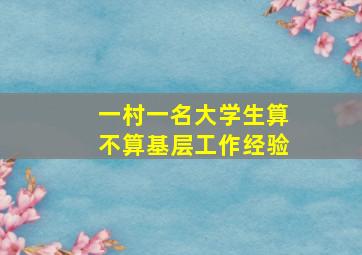 一村一名大学生算不算基层工作经验