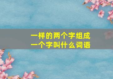 一样的两个字组成一个字叫什么词语