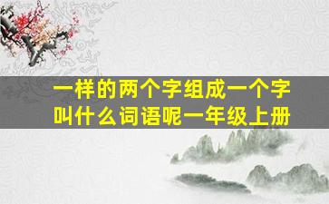 一样的两个字组成一个字叫什么词语呢一年级上册