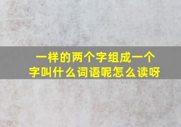 一样的两个字组成一个字叫什么词语呢怎么读呀