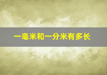 一毫米和一分米有多长