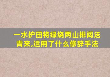 一水护田将绿绕两山排闼送青来,运用了什么修辞手法