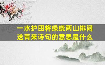 一水护田将绿绕两山排闼送青来诗句的意思是什么