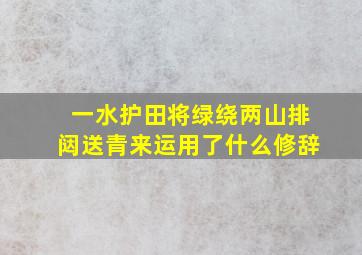 一水护田将绿绕两山排闼送青来运用了什么修辞