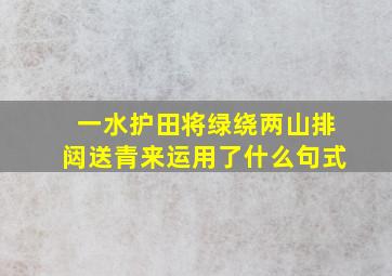 一水护田将绿绕两山排闼送青来运用了什么句式