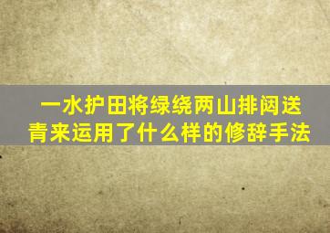 一水护田将绿绕两山排闼送青来运用了什么样的修辞手法