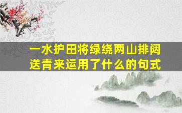 一水护田将绿绕两山排闼送青来运用了什么的句式