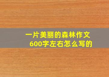 一片美丽的森林作文600字左右怎么写的