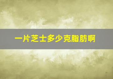 一片芝士多少克脂肪啊