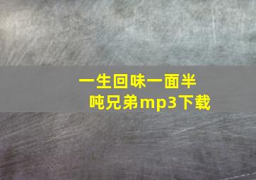 一生回味一面半吨兄弟mp3下载