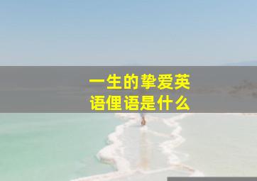 一生的挚爱英语俚语是什么