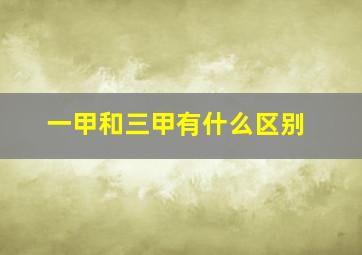 一甲和三甲有什么区别