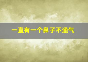 一直有一个鼻子不通气