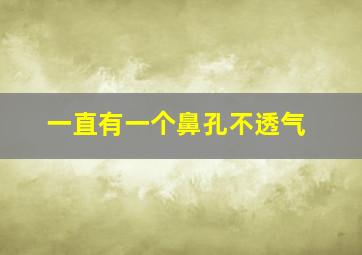 一直有一个鼻孔不透气