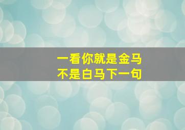 一看你就是金马不是白马下一句