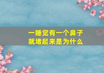 一睡觉有一个鼻子就堵起来是为什么