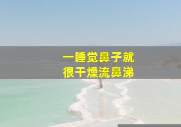 一睡觉鼻子就很干燥流鼻涕