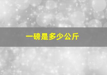 一磅是多少公斤