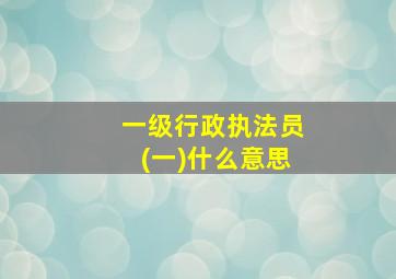 一级行政执法员(一)什么意思