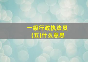 一级行政执法员(五)什么意思