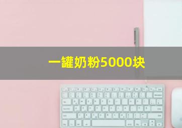 一罐奶粉5000块