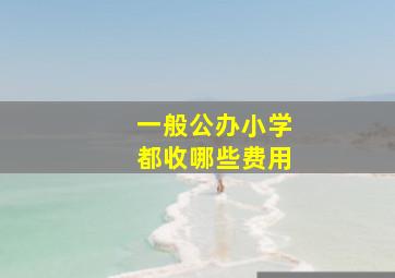 一般公办小学都收哪些费用