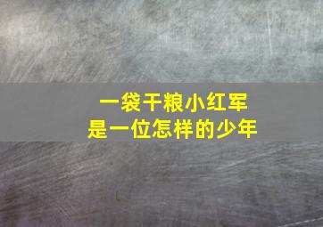 一袋干粮小红军是一位怎样的少年