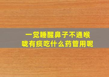 一觉睡醒鼻子不通喉咙有痰吃什么药管用呢