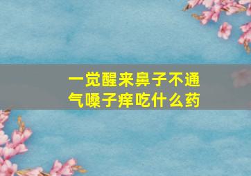 一觉醒来鼻子不通气嗓子痒吃什么药