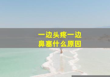 一边头疼一边鼻塞什么原因