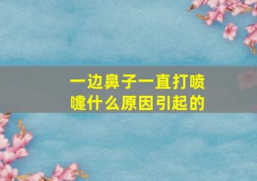 一边鼻子一直打喷嚏什么原因引起的