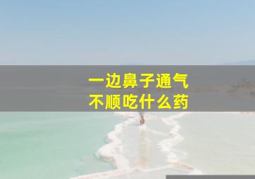 一边鼻子通气不顺吃什么药