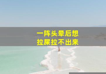 一阵头晕后想拉屎拉不出来