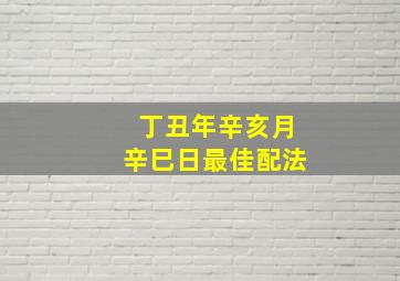 丁丑年辛亥月辛巳日最佳配法